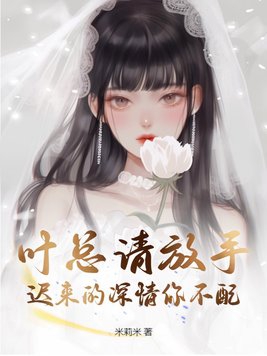 叶总请放手迟来的深情你不配小说