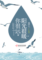 阳光很暖很撩人的句子