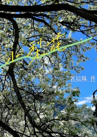 小兰花小羊花什么梗啊
