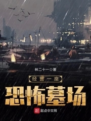 经营小说