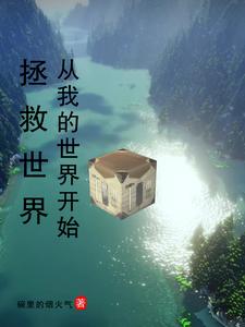 我的世界未来皮肤