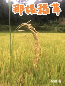 那根拉山口介绍