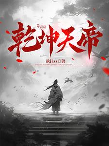 乾坤天地属于哪一个公司开发的